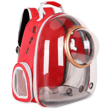 cat bubble backpack cat bubble backpack