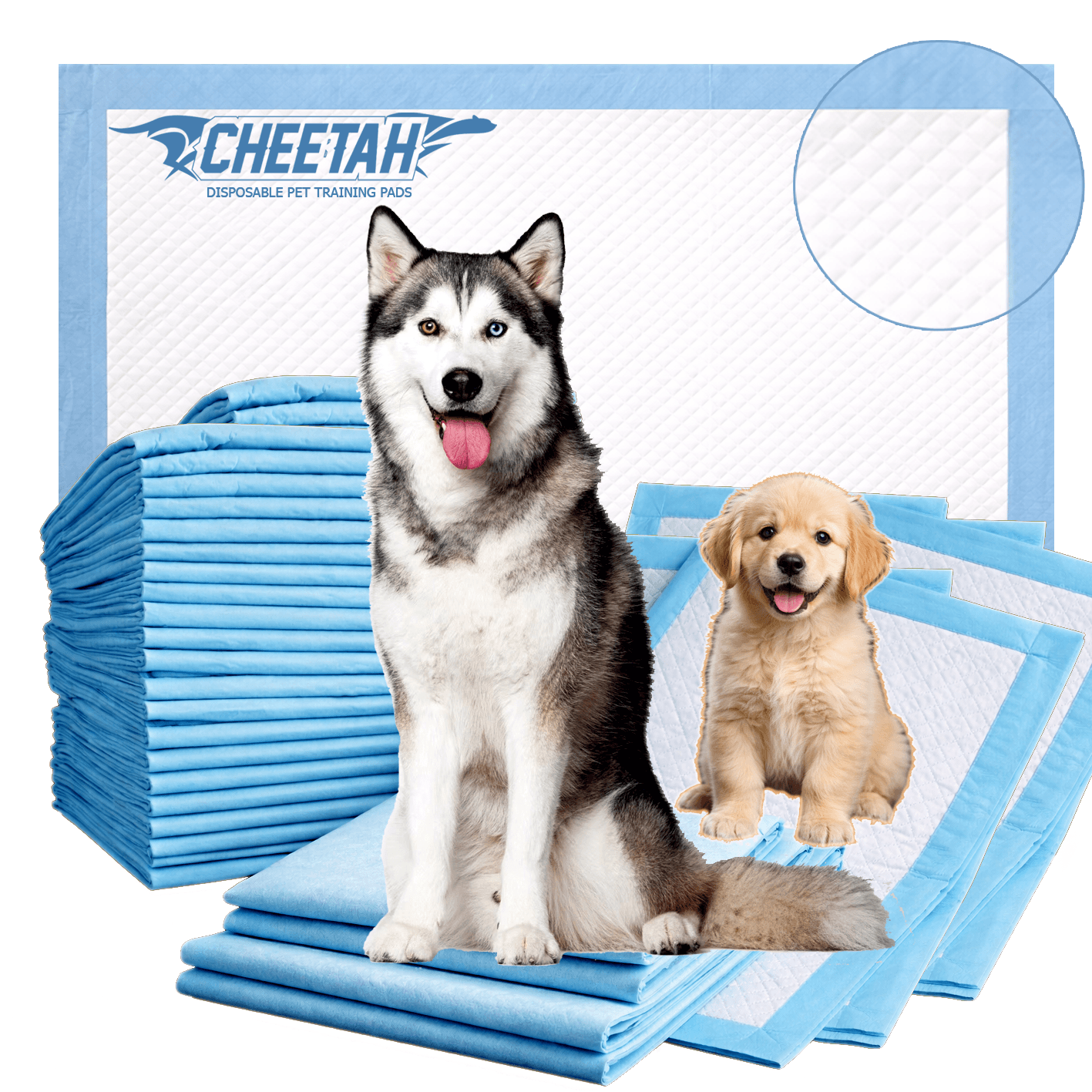 Cheetah Disposable Dog Training Pads ā 6 Layers Blue Color , S Size- 100Pcs